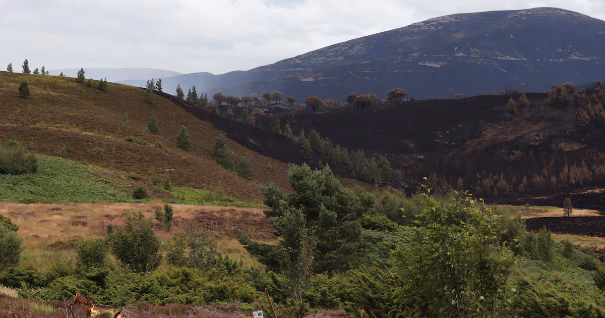 Cairngorms wildfire cordon may lift on Friday