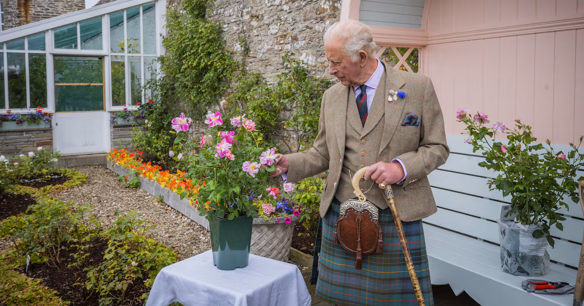 King plants royal rose in Scotland