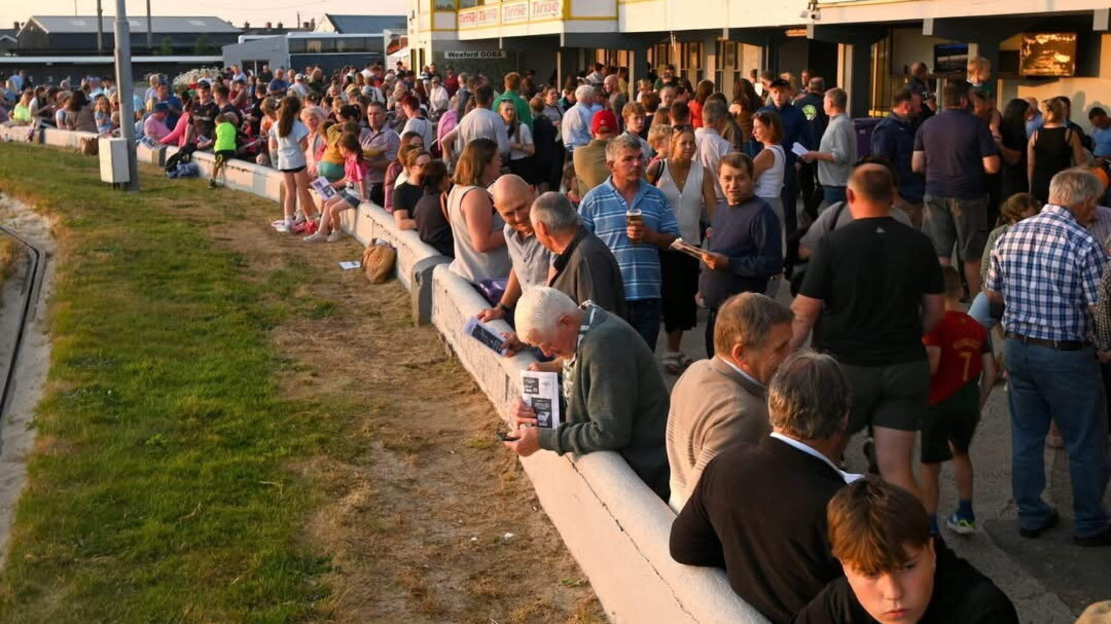 Wexford Greyhound Track Memorial Wall Planned