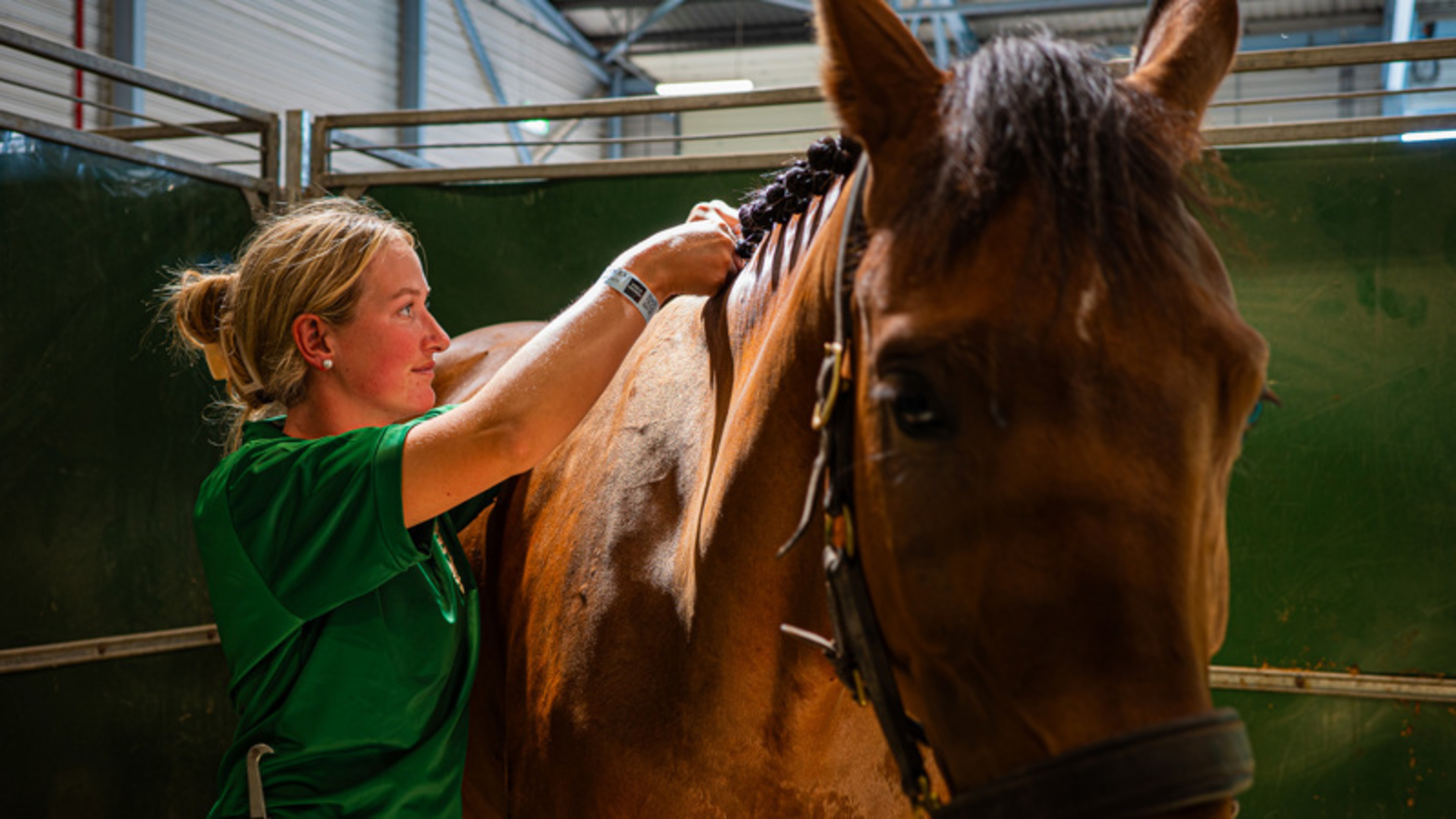 Behind the Scenes at Dublin Horse Show