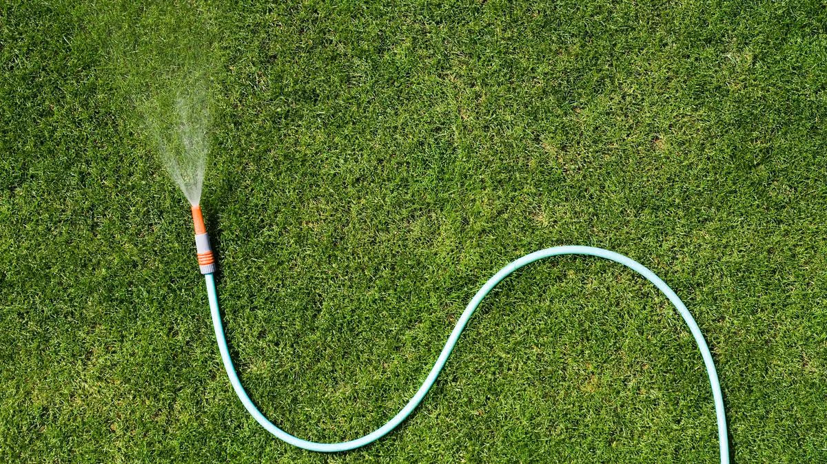 Using Epsom Salt for Lawn Health