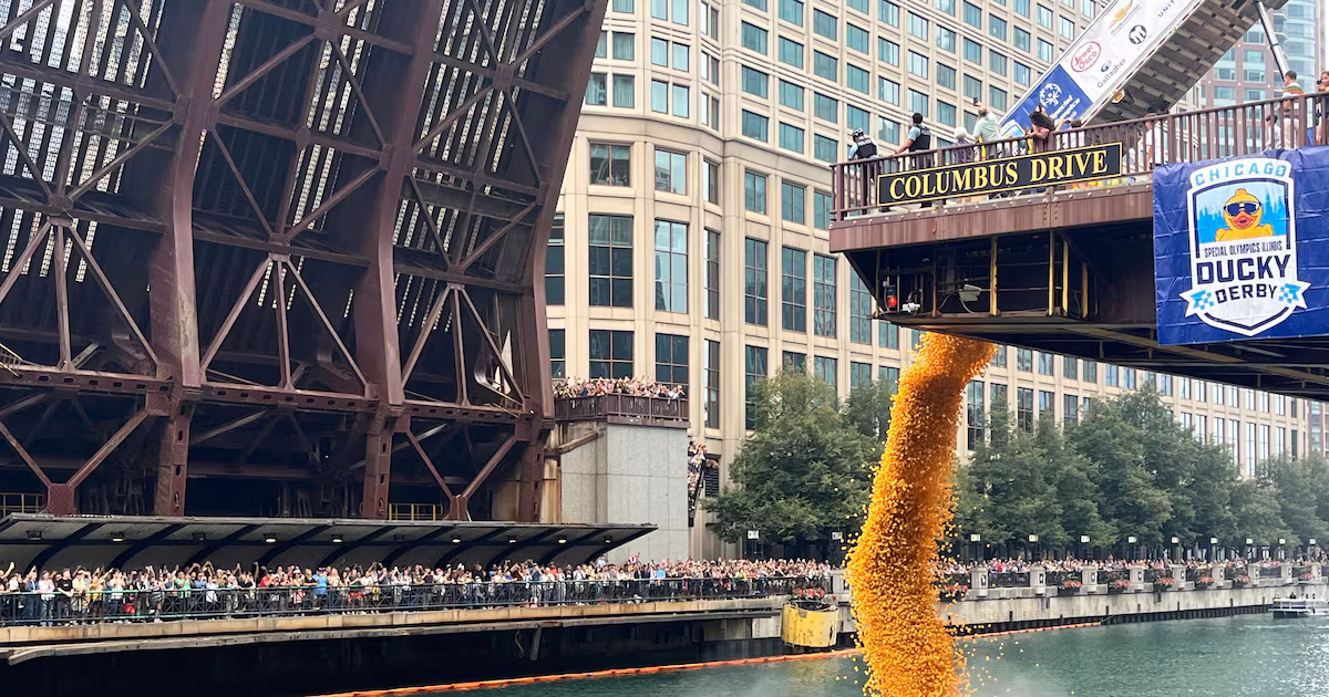 90,000 Rubber Ducks Race in Chicago Ducky Derby