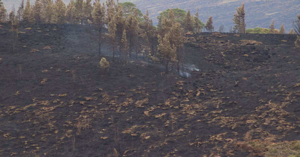 Cairngorms wildfire cordon to be lifted Friday