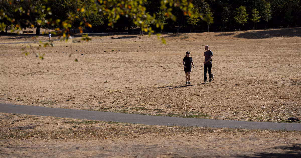 Heatwave Conditions Return to the UK