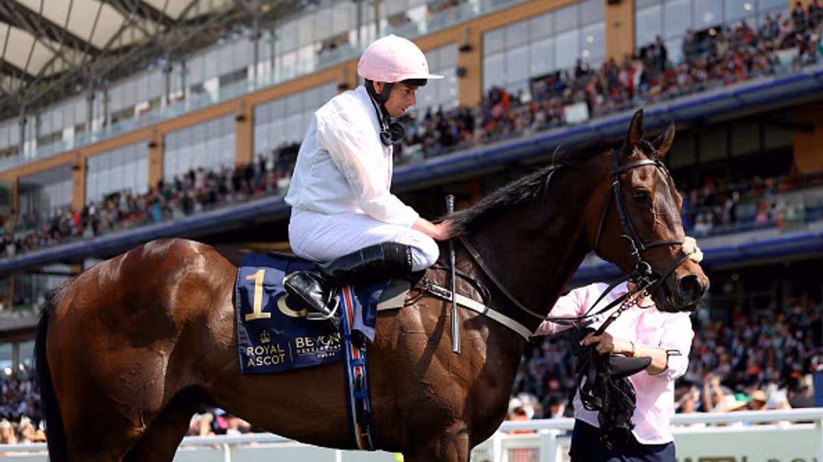 Willie Mullins €4.3million winner to travel again