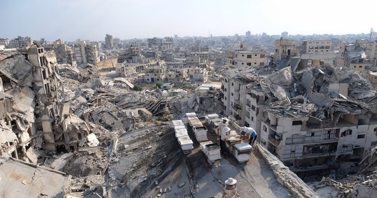 Israel Rejects Trump's Gaza Plan