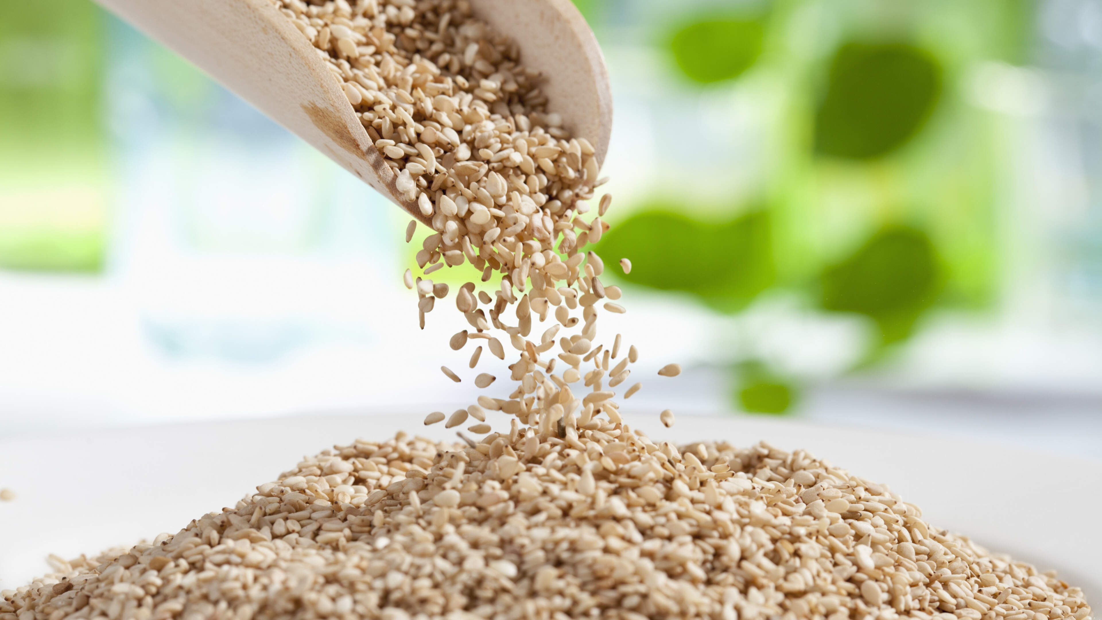 Recall of Products Due to Salmonella Risk