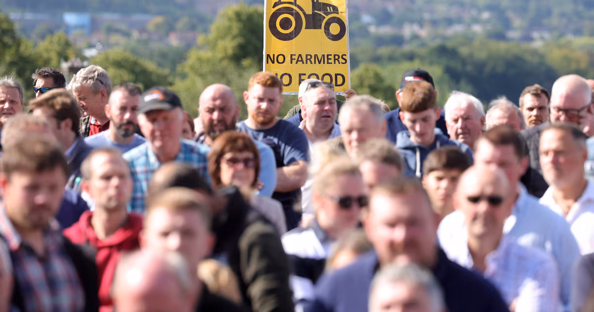 Farmers Protest After Culling of Cows in Tyrone