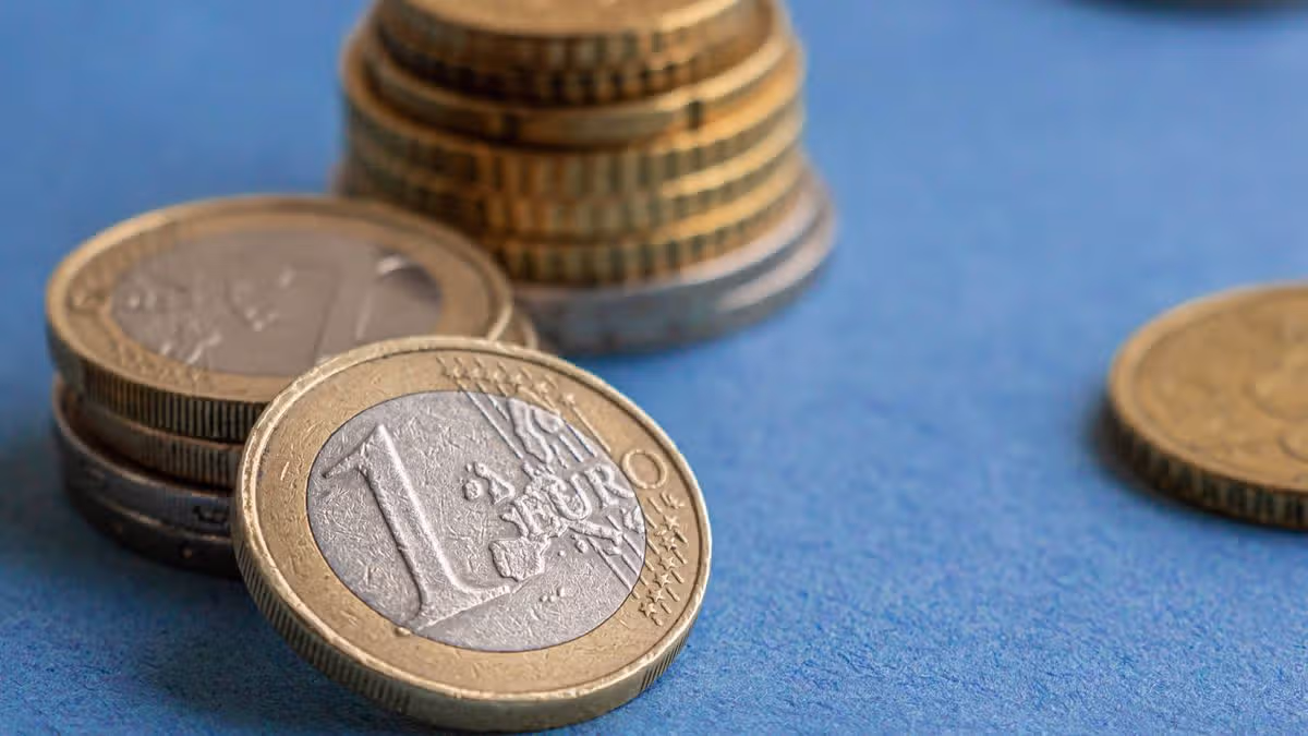 Irish households check for €300 coin