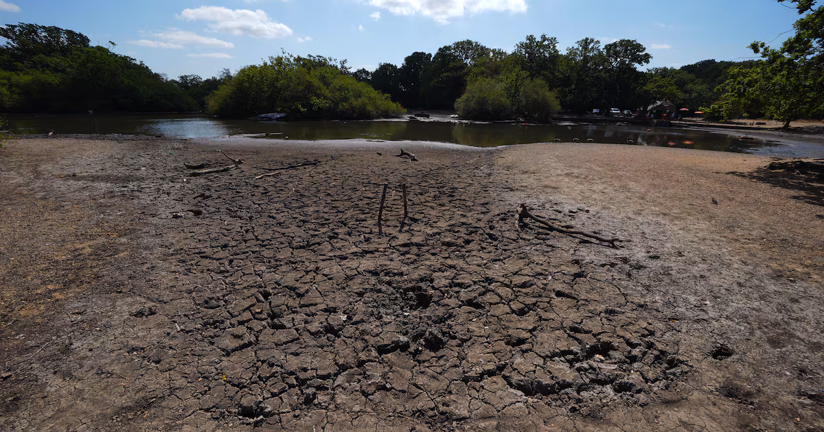 UK Summer 2026 Expected to Break Heat Record