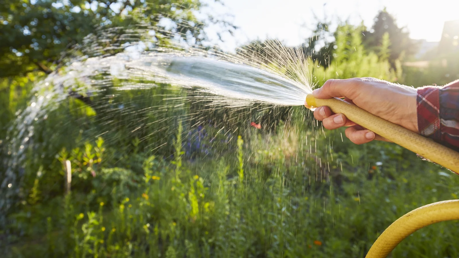 Hosepipe ban extension may be considered