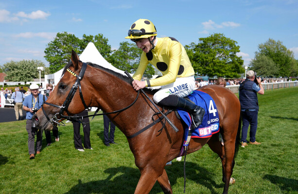 Racehorse Bow Echo Retires Due to Injury