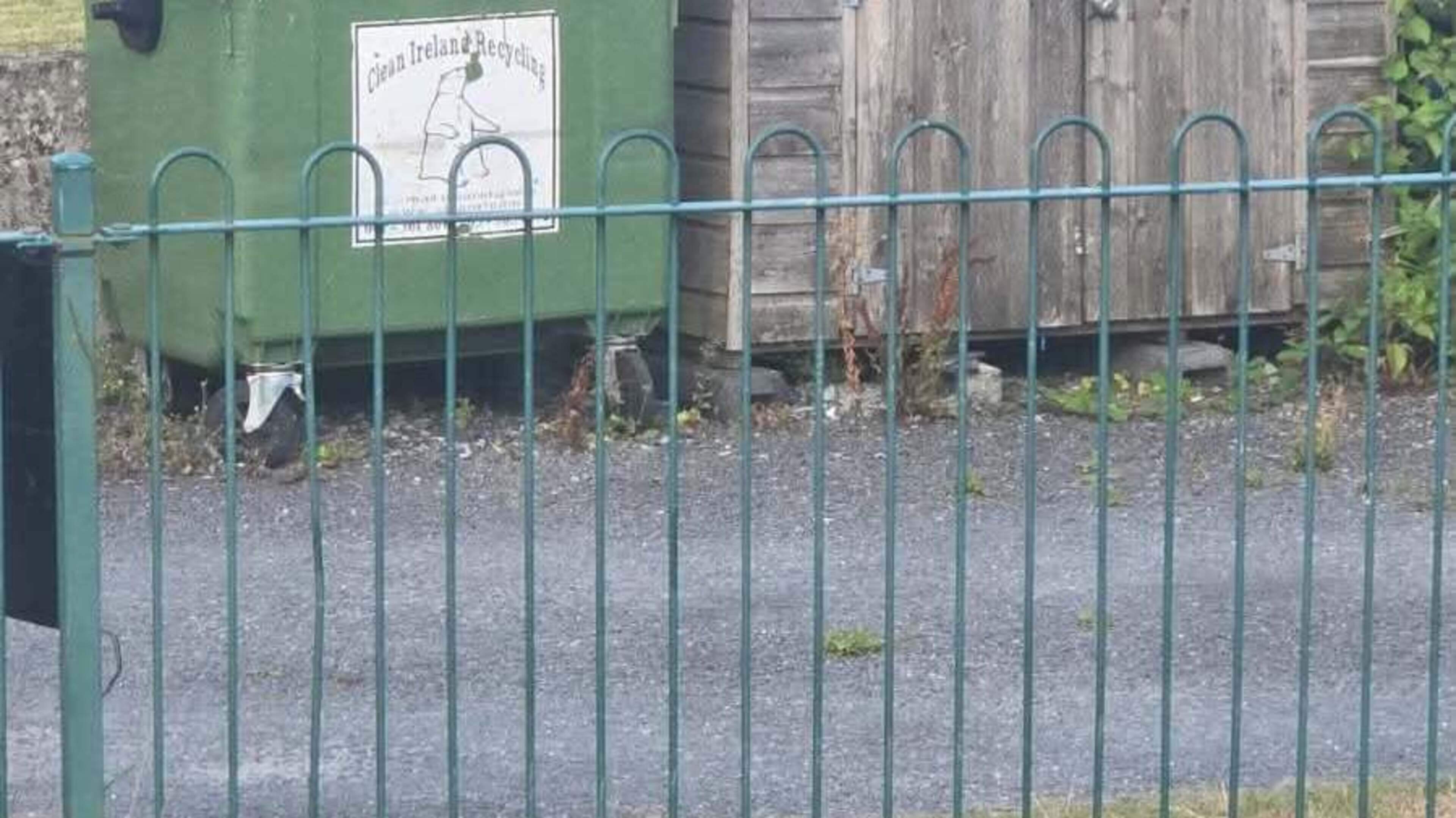 Rats Spotted in Clare Children's Playground