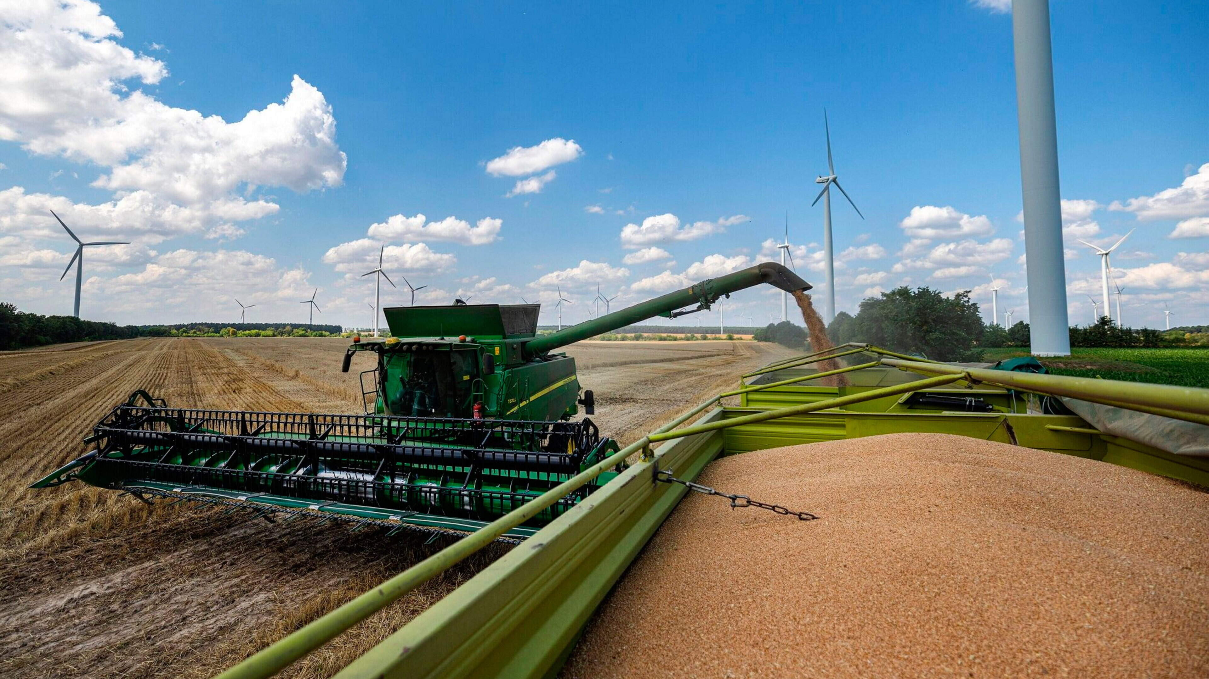 EU Study Warns of Rising Food Prices