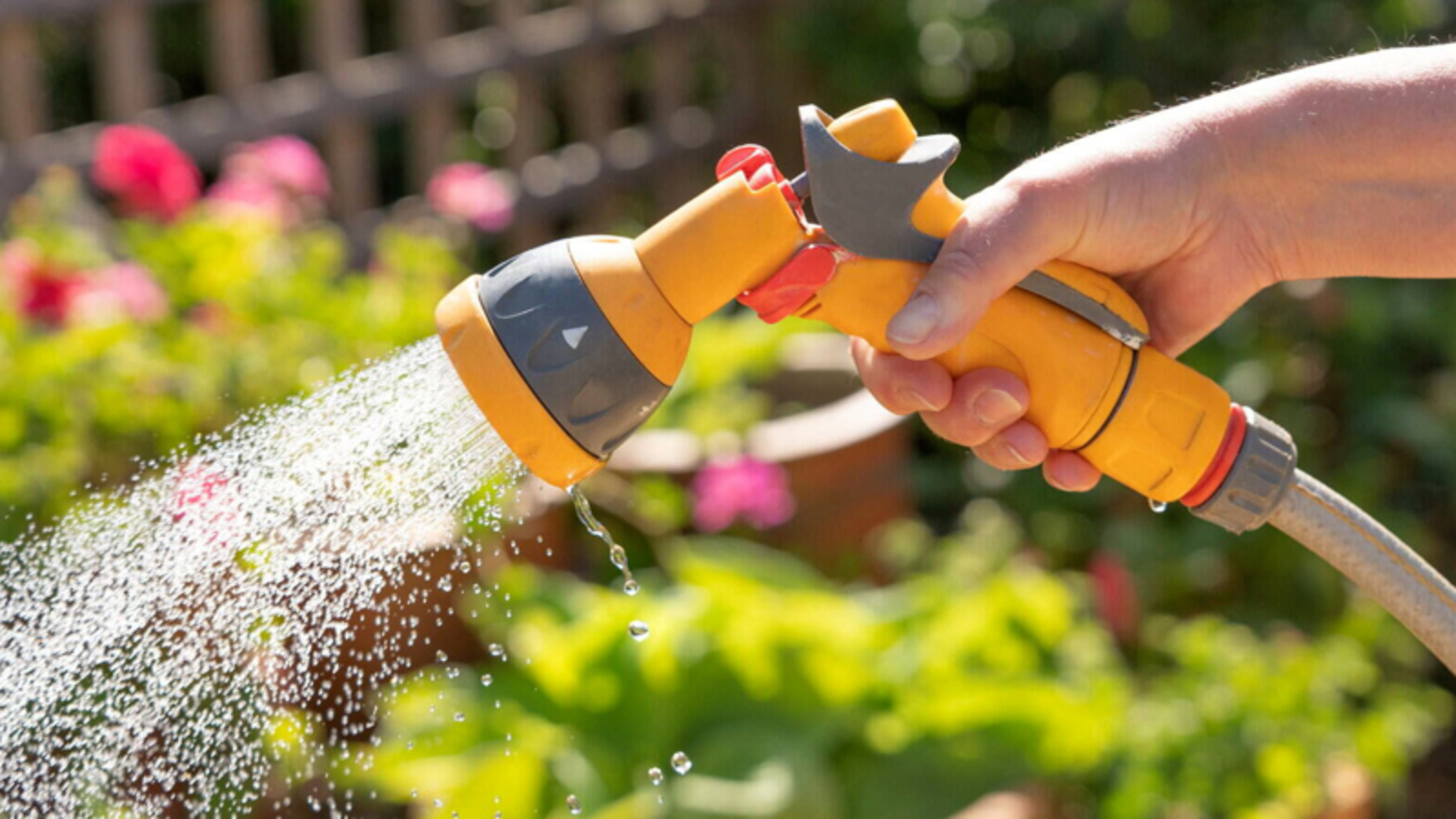 Met Éireann warns of high temperatures today