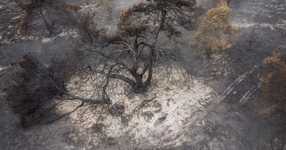 Dunwich Heath Fire Risk Prompts National Trust Warning
