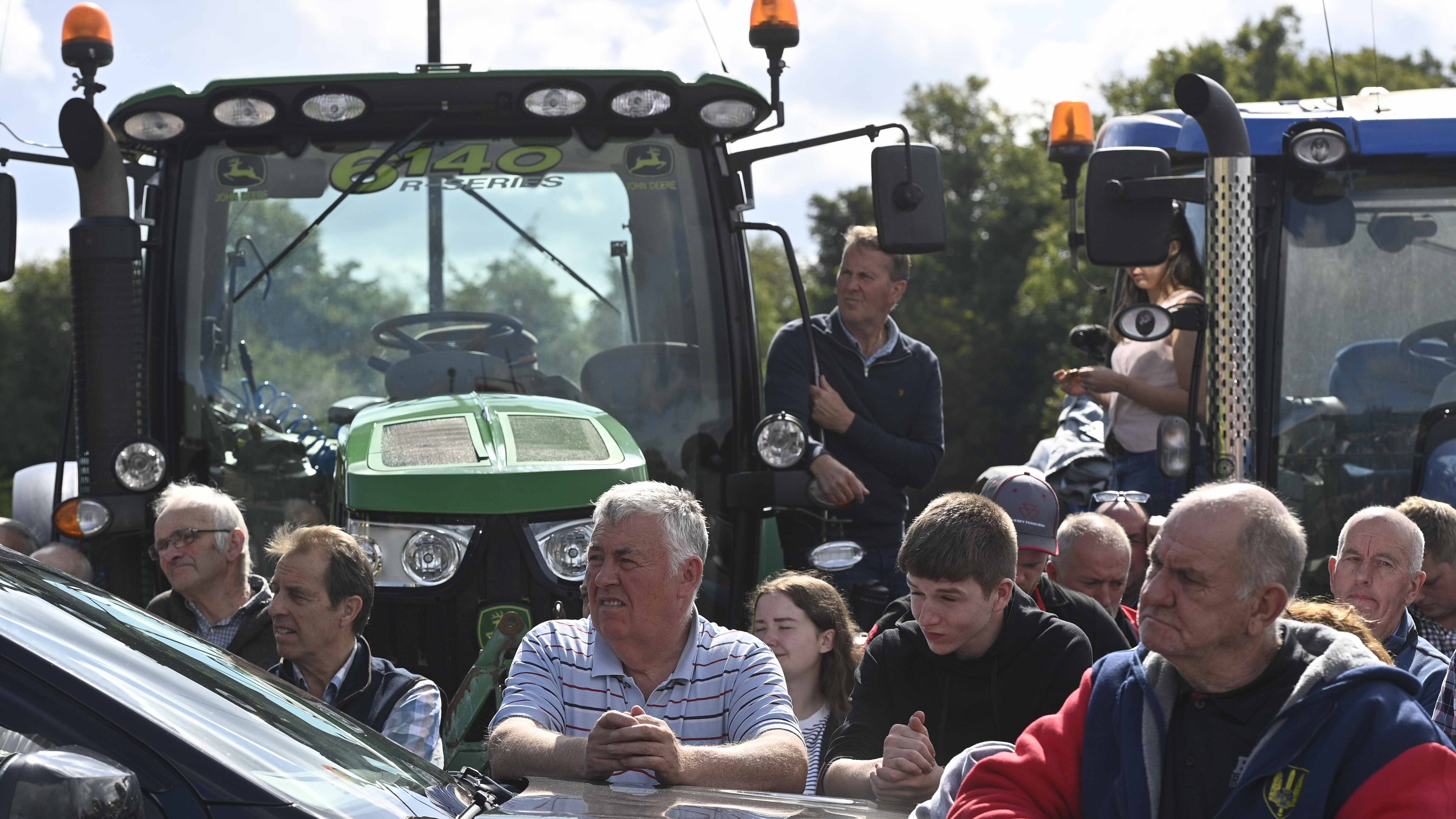 Review Announced for Co Tyrone Cow Shooting