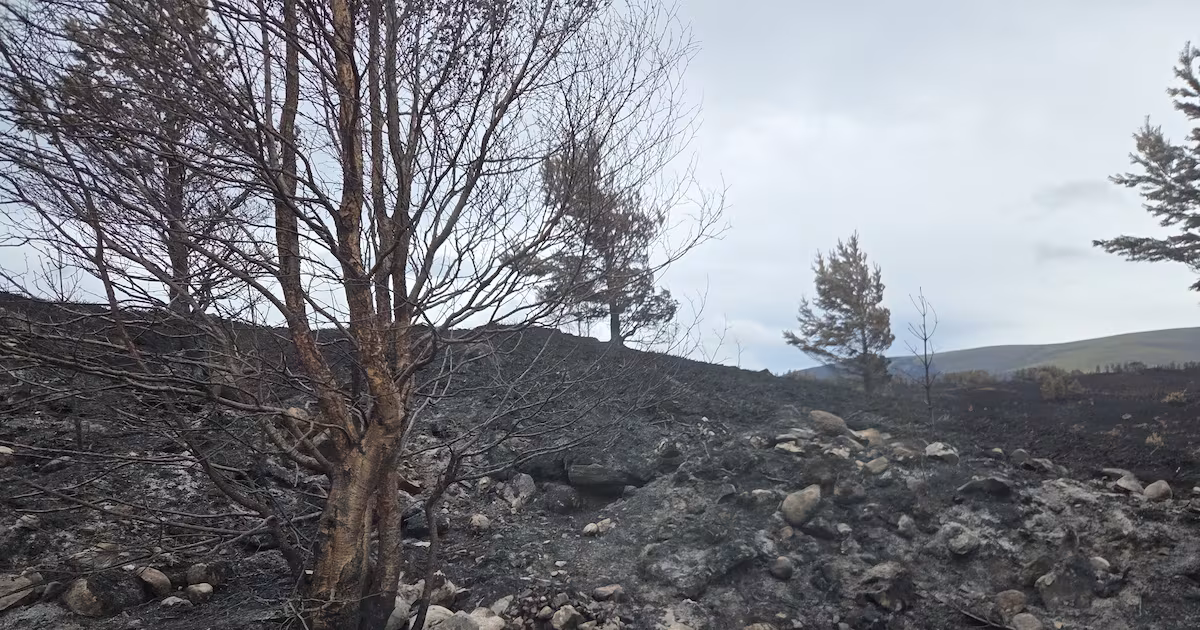 Wildfire Warning Issued for Scotland