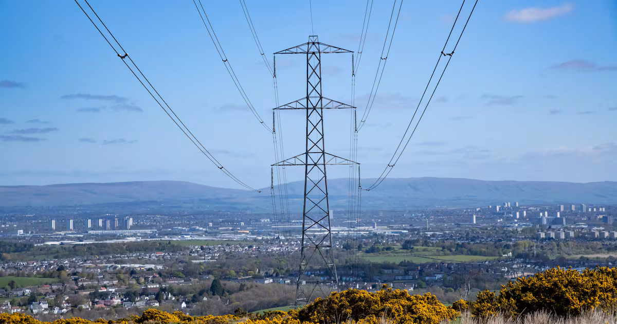 Electricity grid operator cancels power call