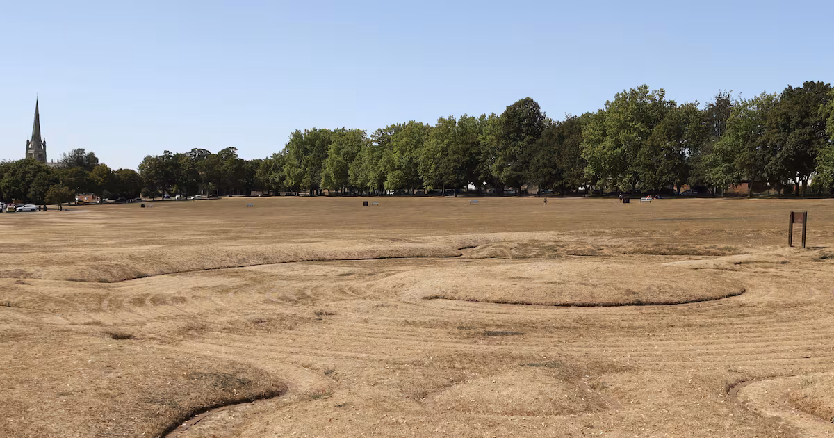 UK Faces Hottest Day of Year at 38C