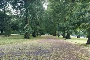 Afghan migrants accused of raping woman in London park