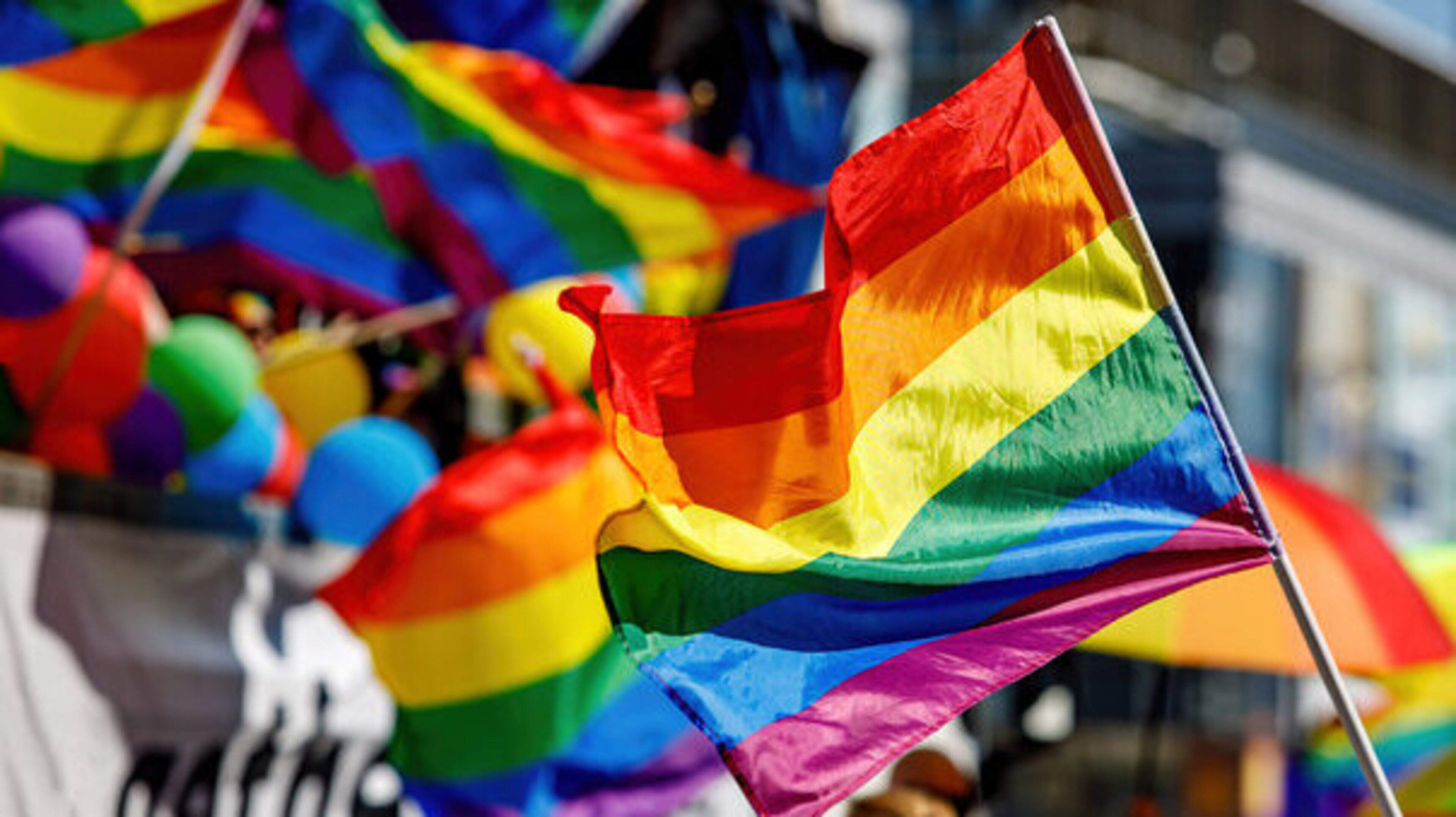 Meath Pride Advocates for CMAT Support