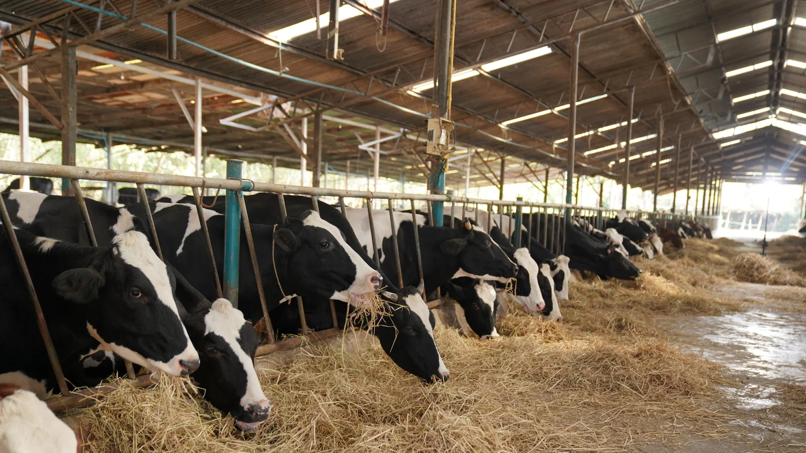 Farmers Seek Government Support Amid Heatwave