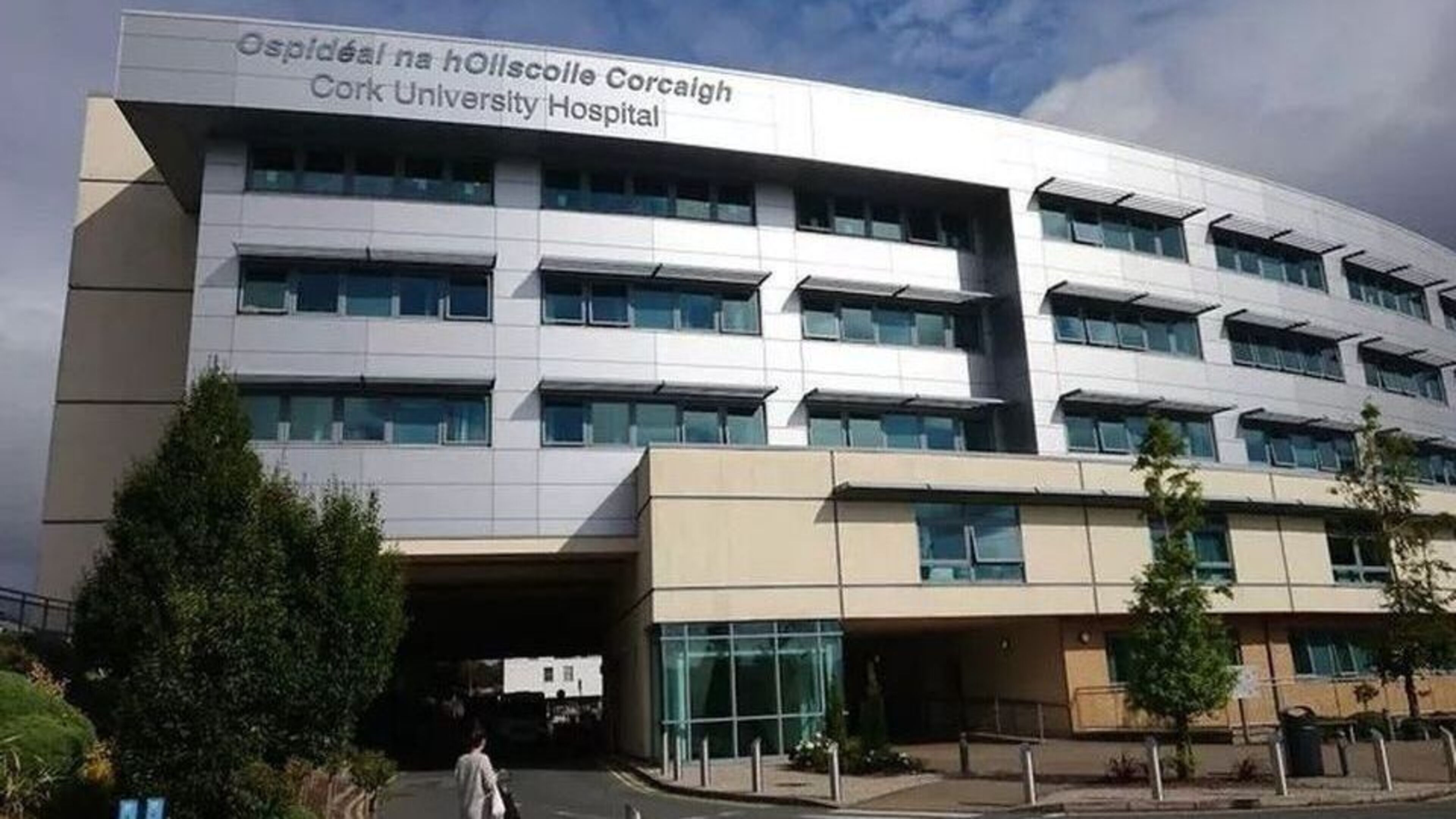 Woman Airlifted After Serious Wexford Crash