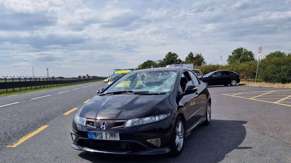 Driver's Car Seized After Bird Incident