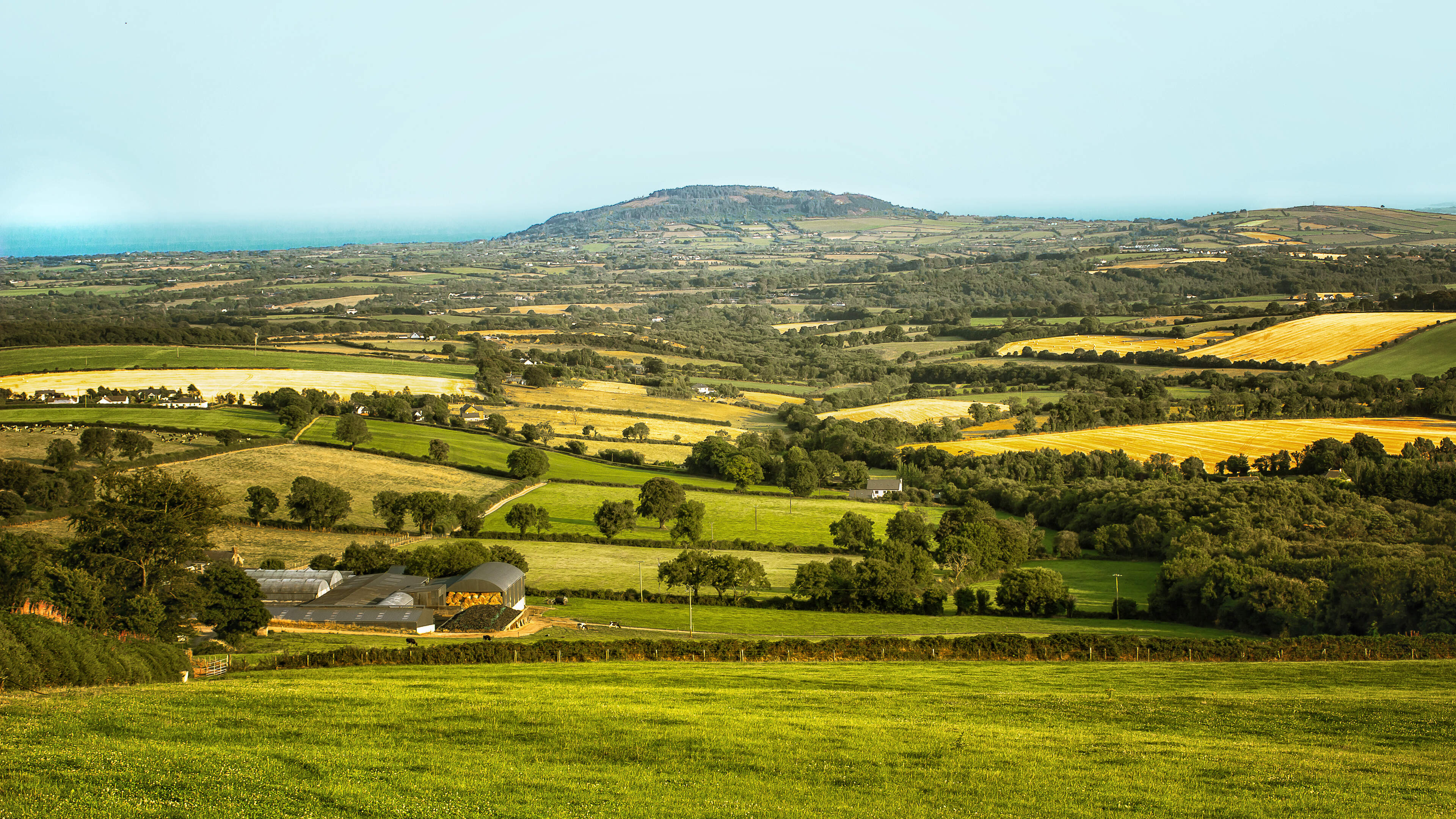Wealthy Investors Drive Farmland Price Boom