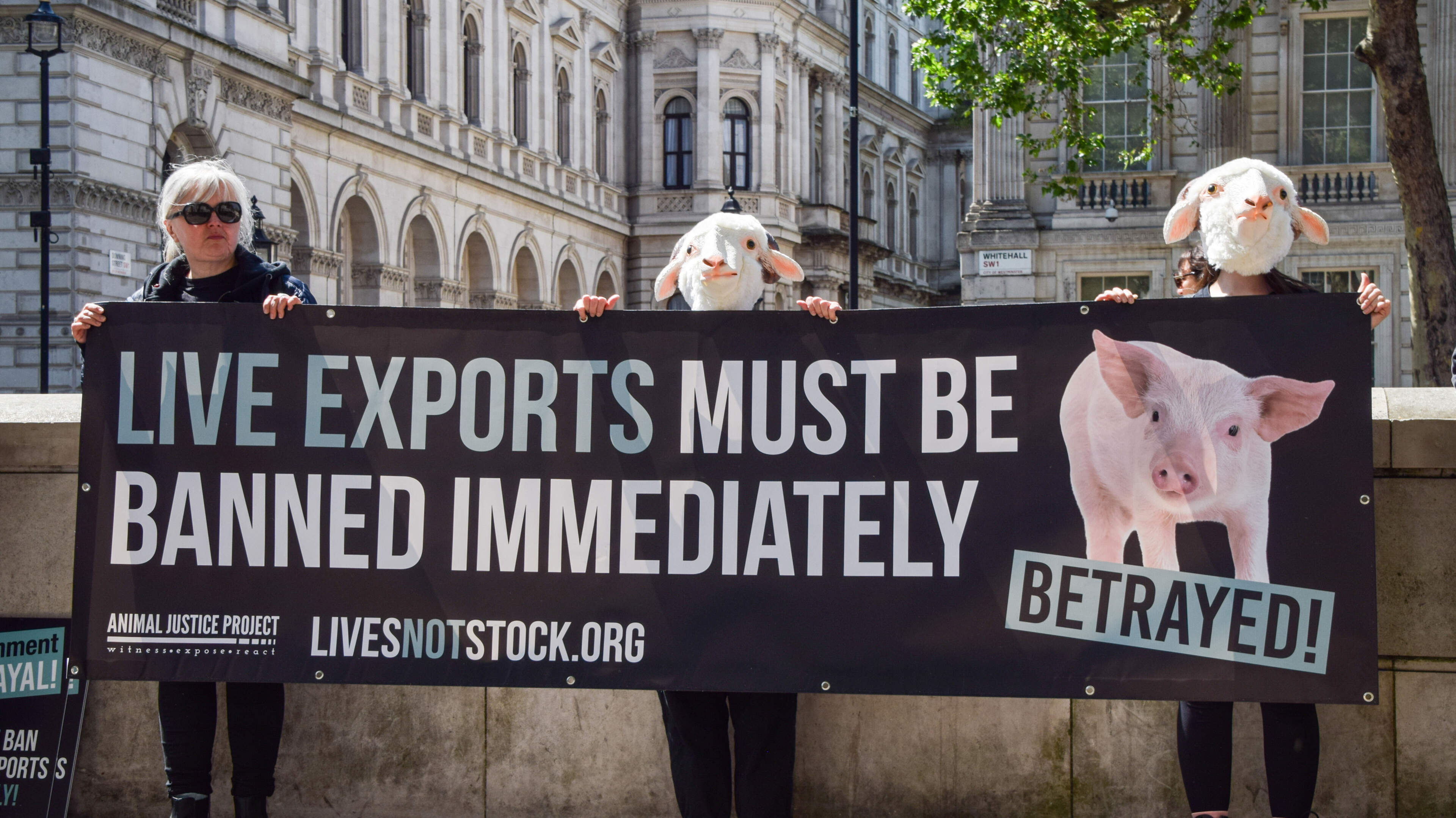 Brittany Ferries Ends Live-Animal Exports
