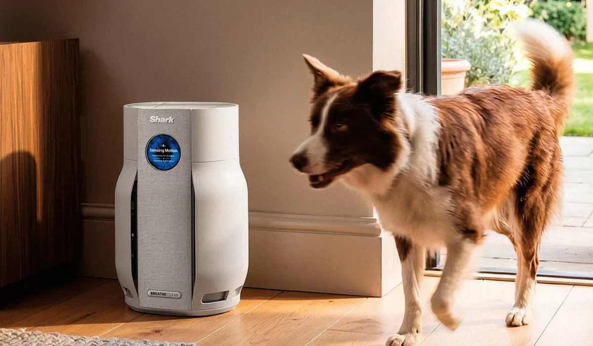 New Air Purifier Monitors Indoor Air Quality