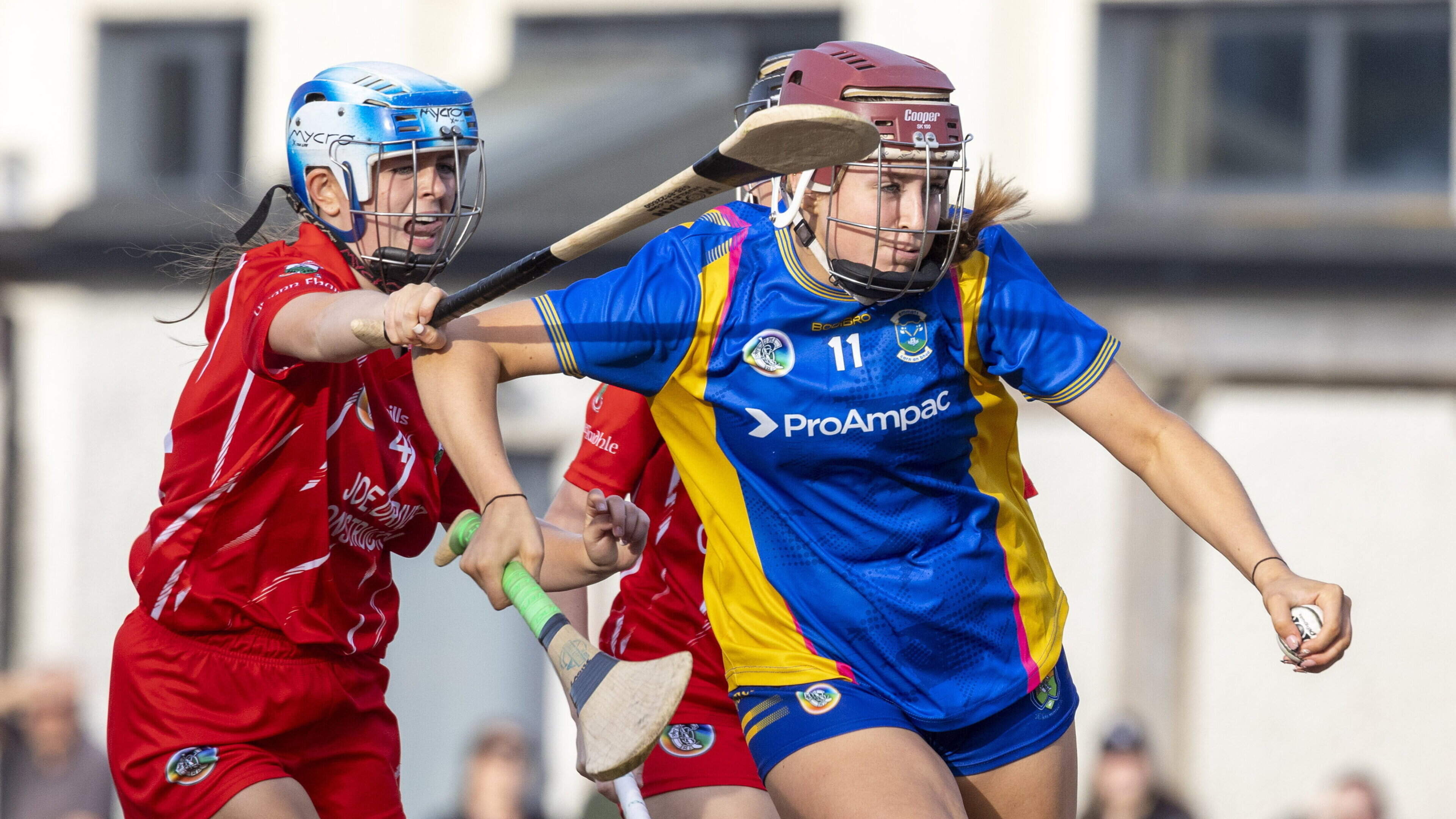 Carnew Emmets Draw with Glenealy in Championship