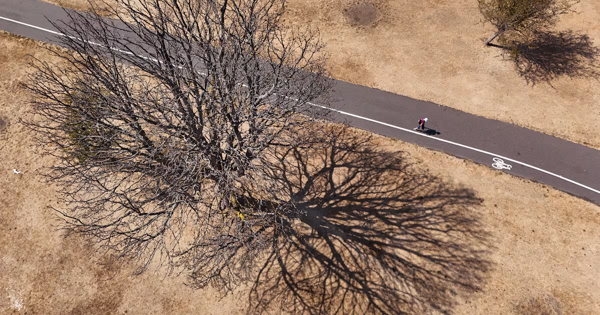 Emergency alert issued for wildfire warnings in UK