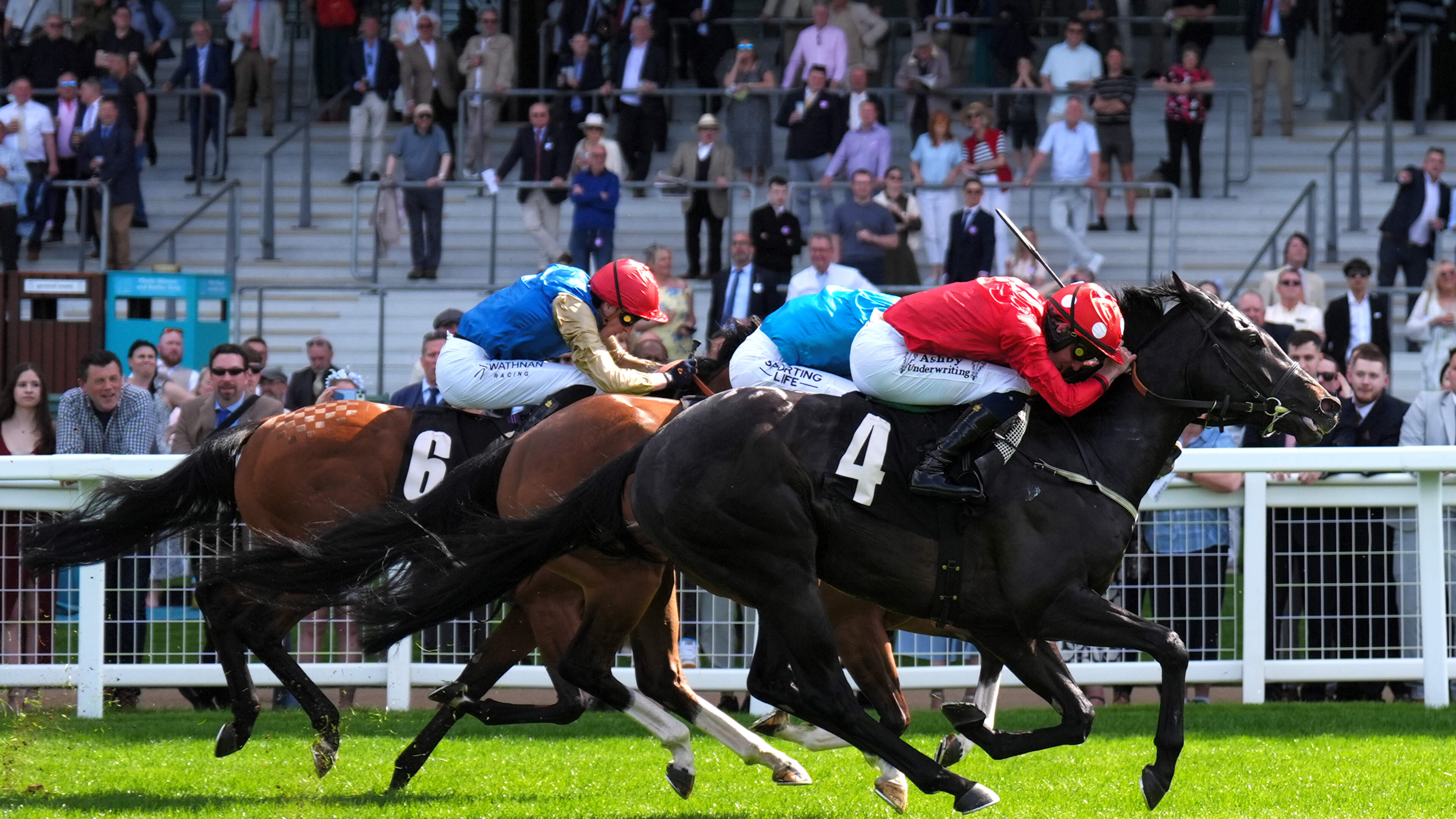 Wayne Bailey on Fast Track Harry at Ripon