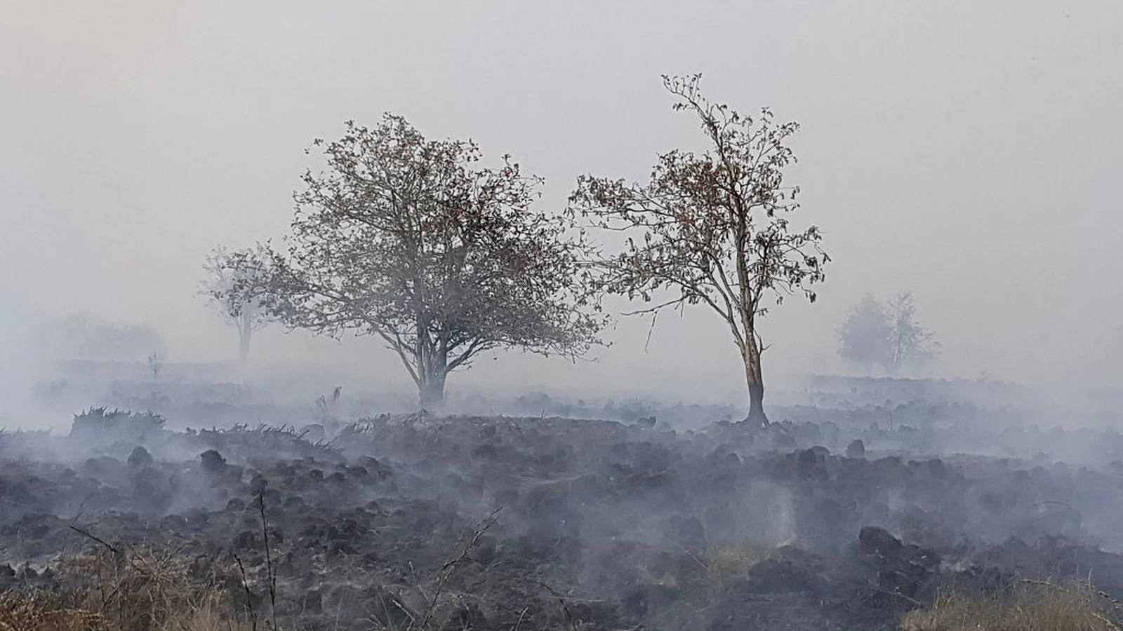 Hundreds Evacuated as Belgium Faces Major Wildfire