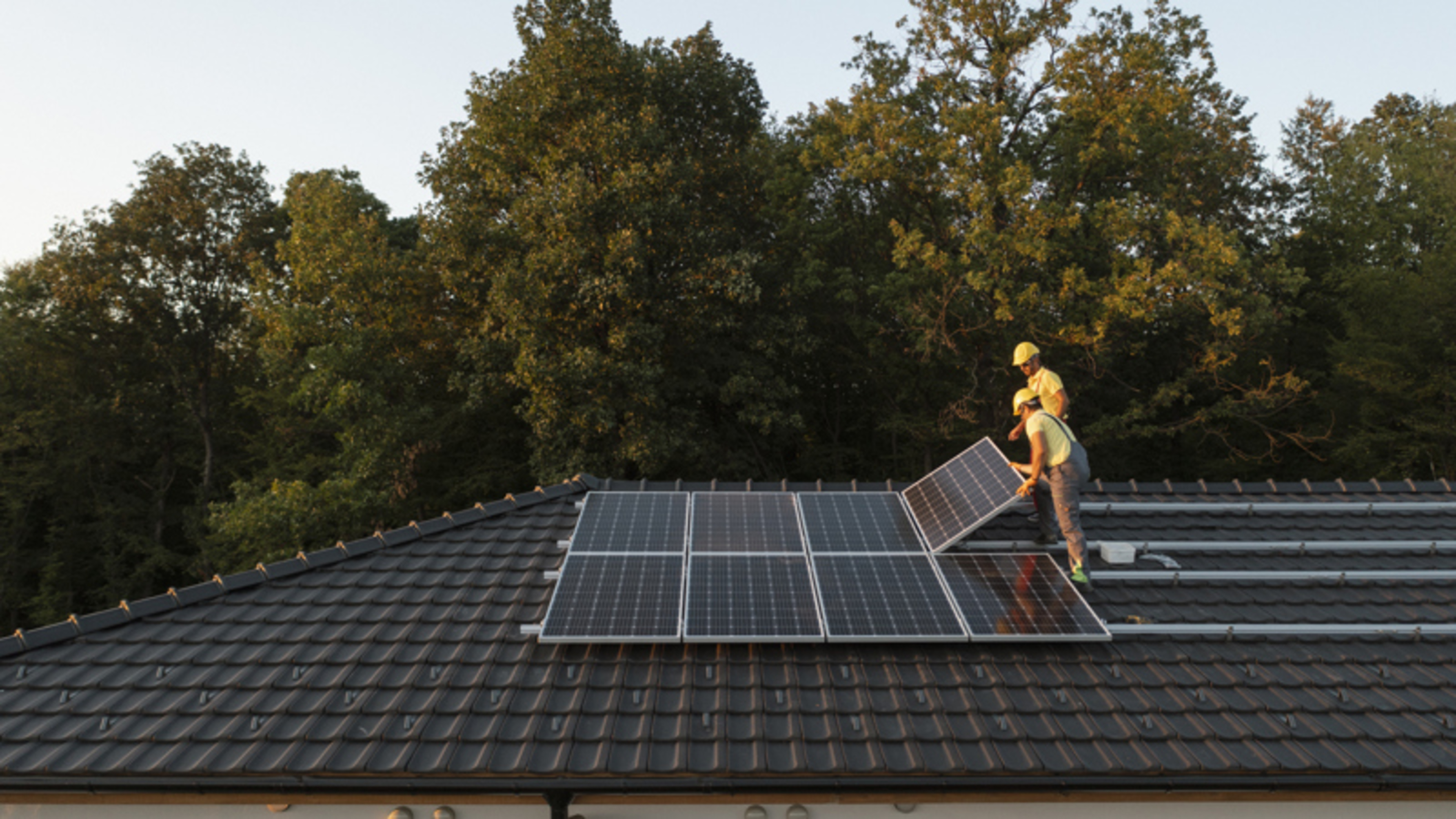 Demand for Solar Panels Soars Amid Rising Energy Costs