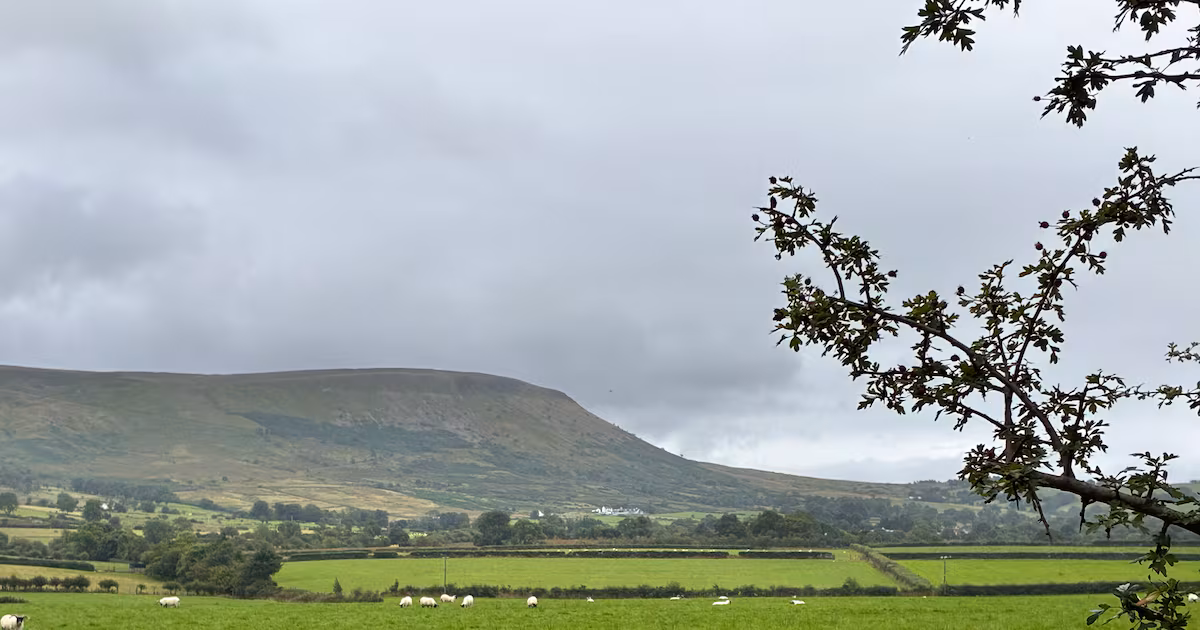No Trespassing Signs Erected at Co Derry Mountain