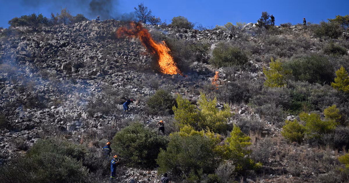 Firefighters Combat Wildfires in Belgium and Greece