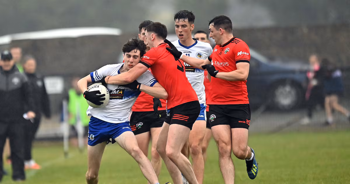 Dromintee Shows Resilience Against County Champions
