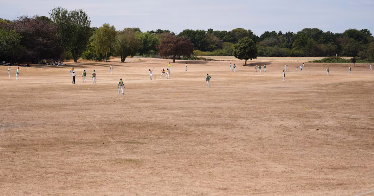 Wessex Water imposes hosepipe ban after 50 years