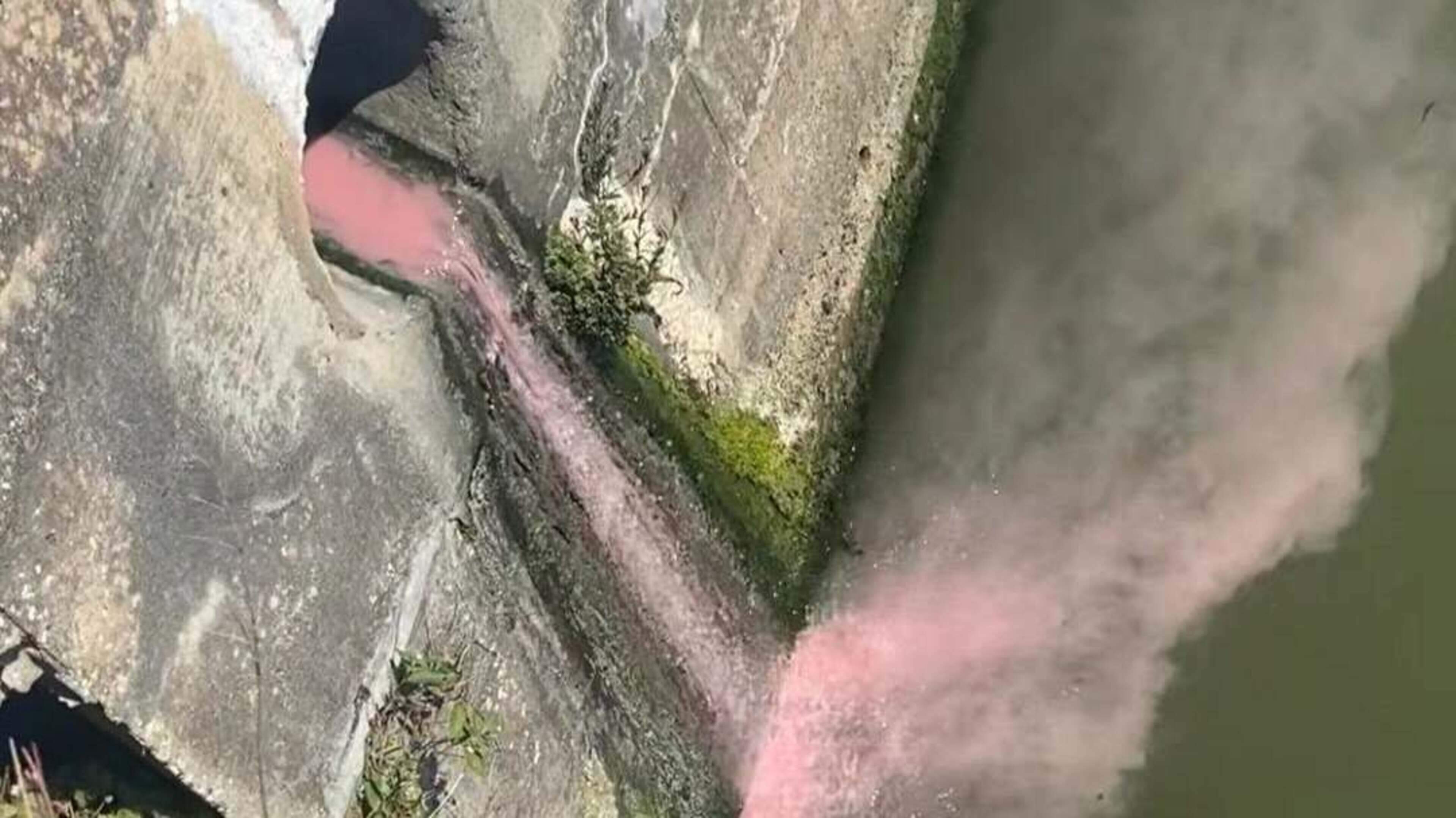 Pink Discharge Raises Pollution Concerns in Wexford
