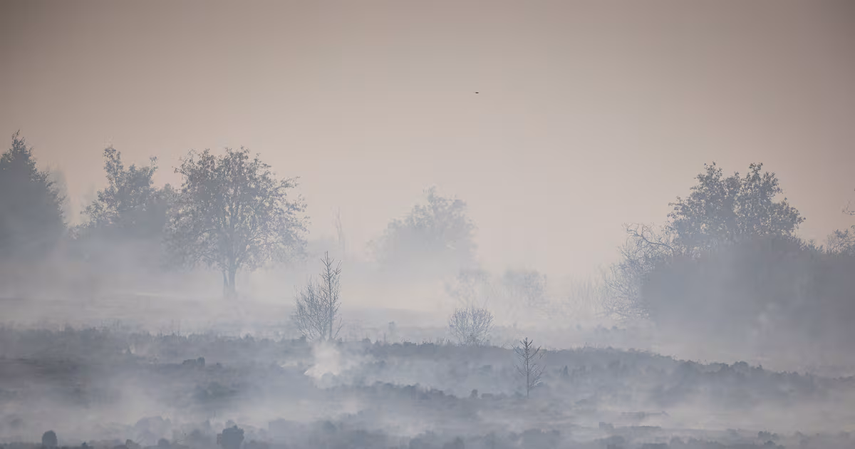 Belgian Wildfire Approaches Germany Amid Rain