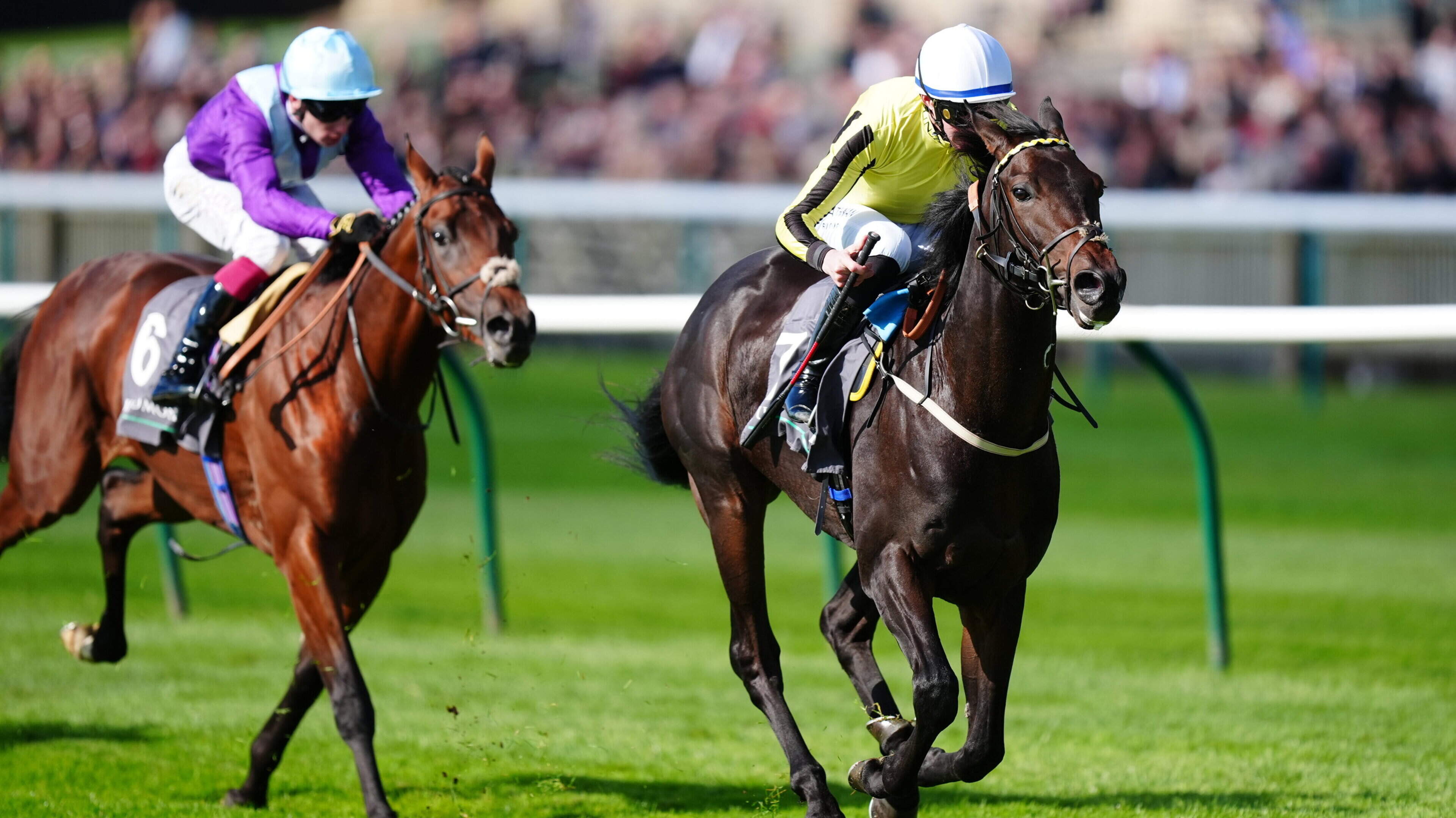 Scott Considers Hawkeye for Irish Champion Stakes
