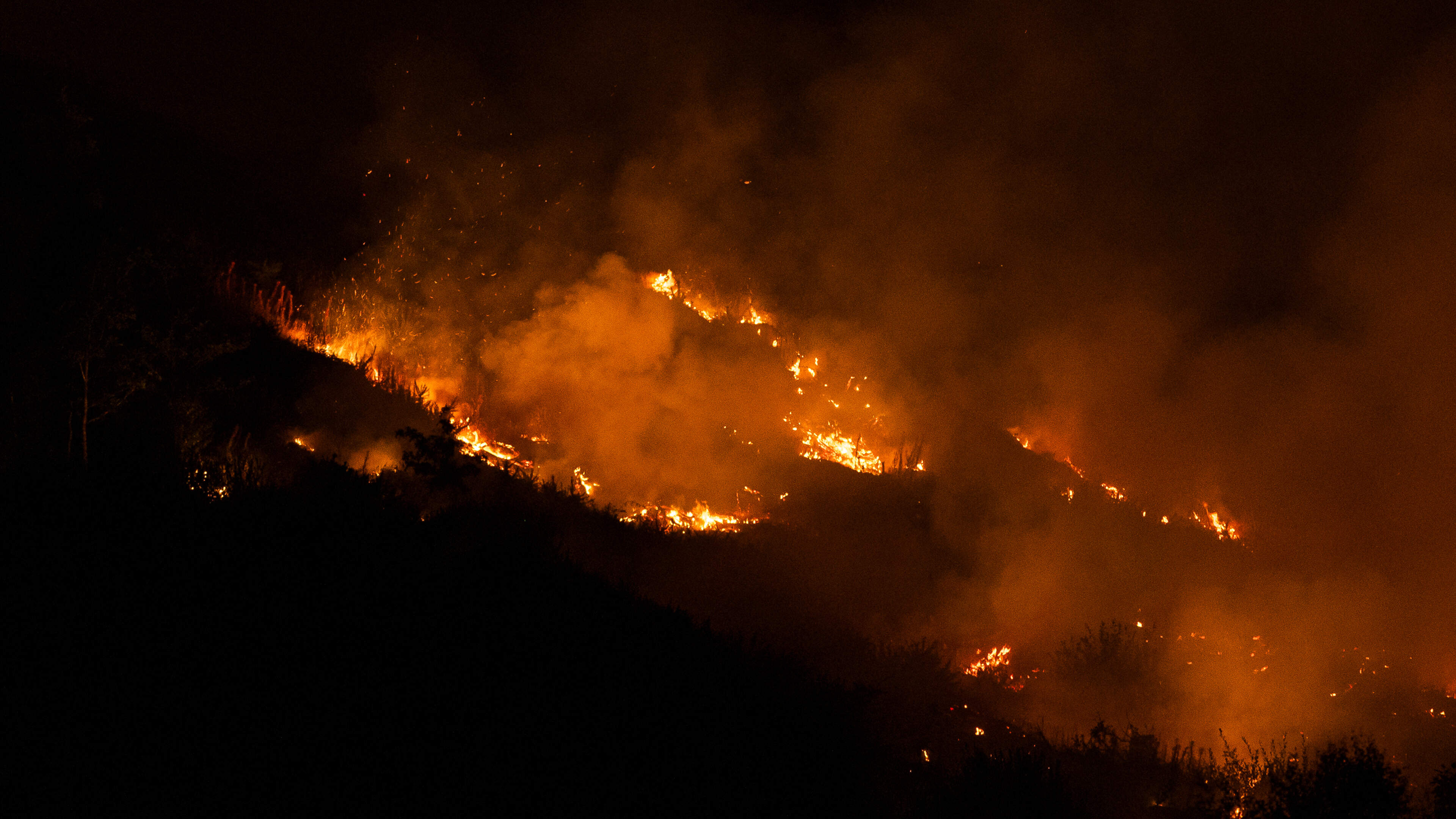 Red Cross advises on wildfire survival