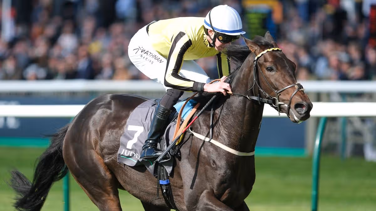 English Raider Supplemented for Irish Champion Stakes
