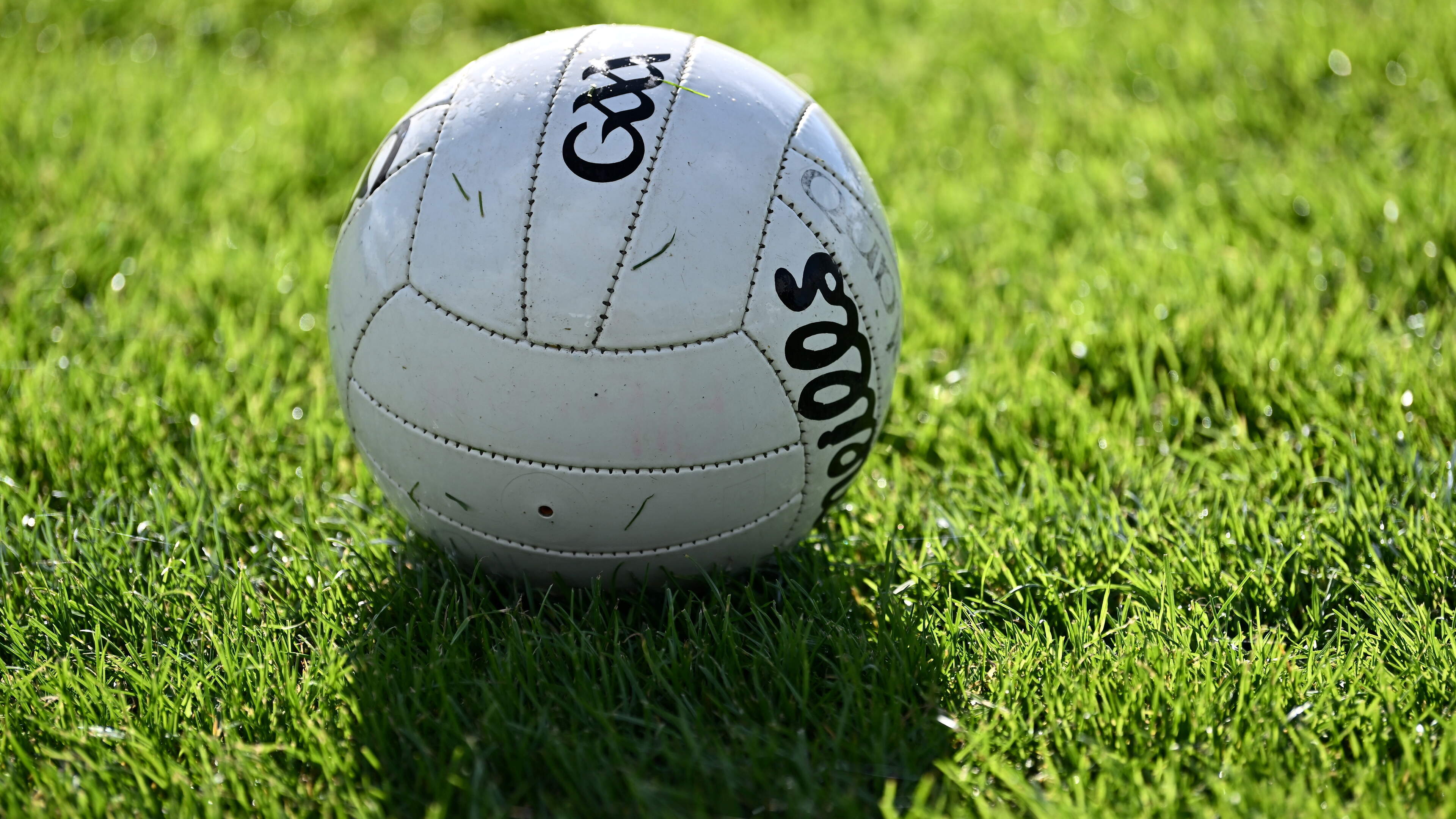 Dunlavin defeats Annacurra in late match