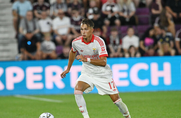 Newcastle Signs Amar Dedic for €35 Million