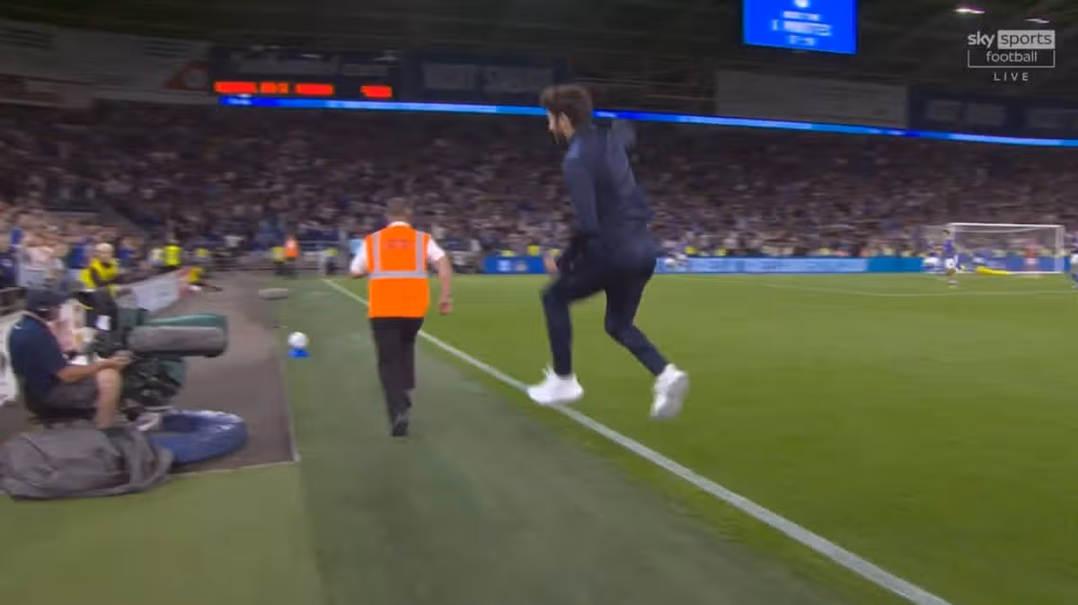 Barry-Murphy celebrates Cardiff draw with wild jump