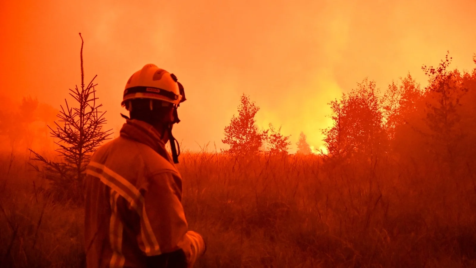 Belgian Wildfire Efforts Hampered by Wind